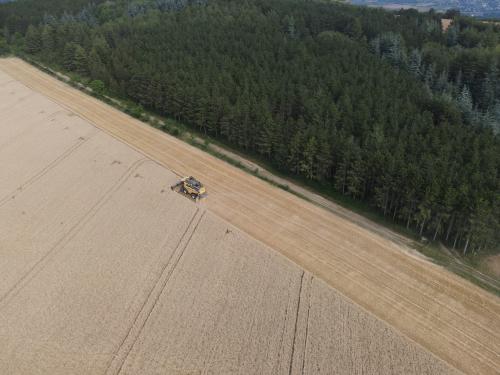DJI_3643.JPG